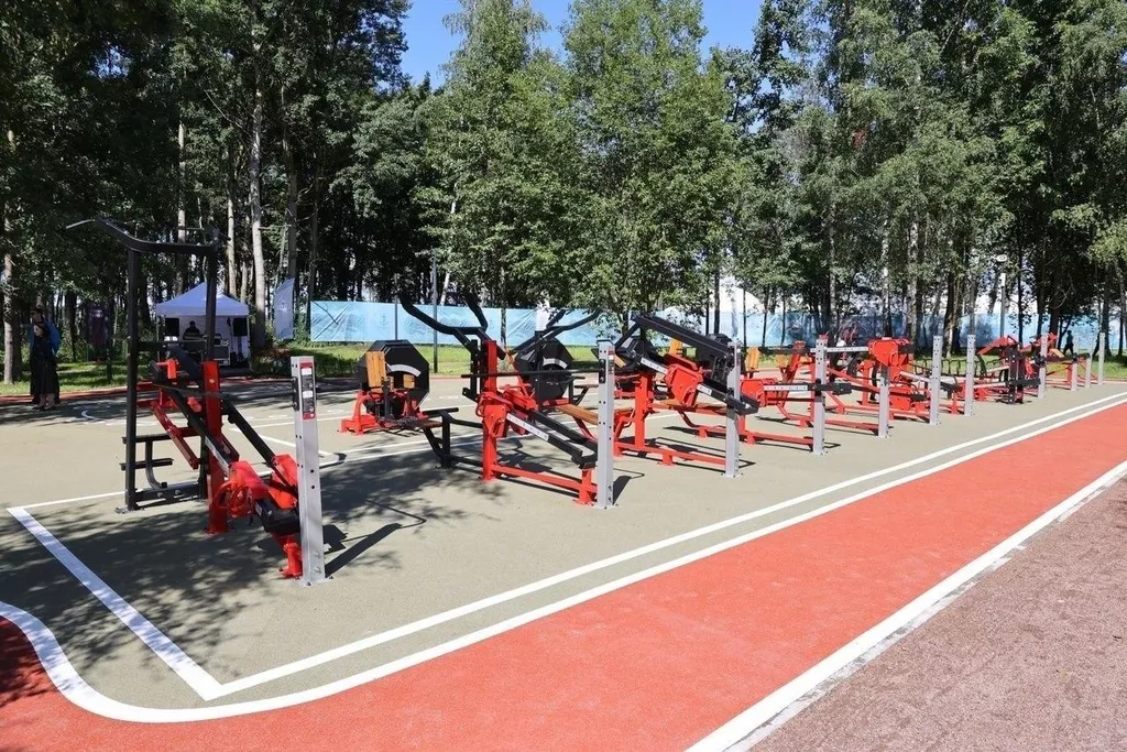 Спорт в Москве