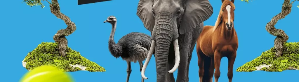 Картинка бонуса