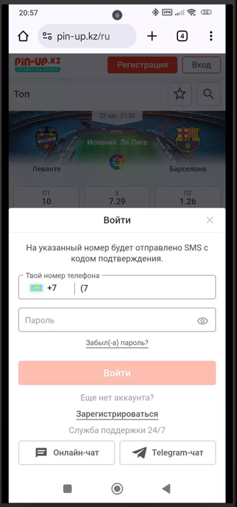 Анкета для авторизации в букмекерской конторе Пин-Ап