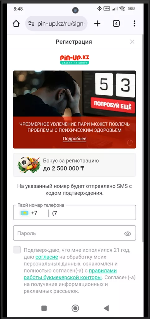Регистрационная анкета в букмекерской конторе Пин-Ап