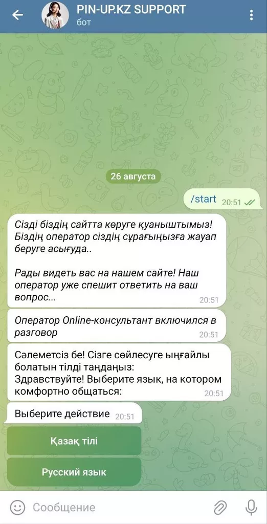 Telegram-чат службы поддержки БК Пин Ап в Казахстане