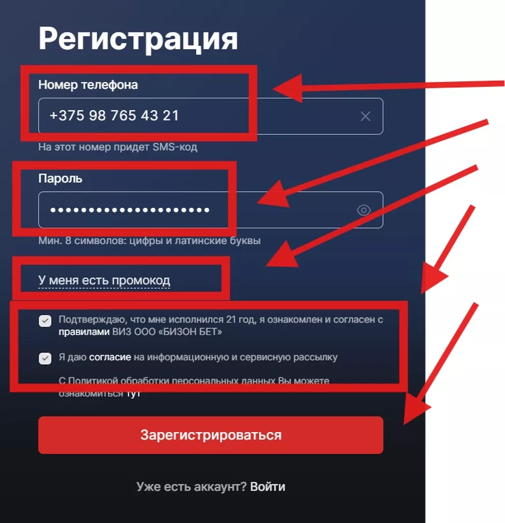 Регистрационная анкета