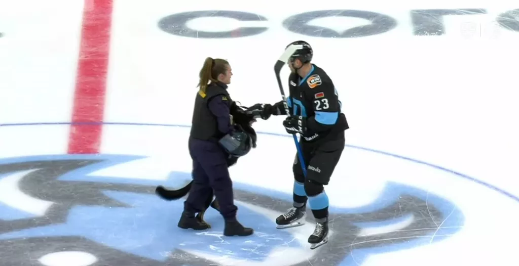 Собака покусала хоккеистов на вбрасывании перед матчем минского «Динамо» и ЦСКА