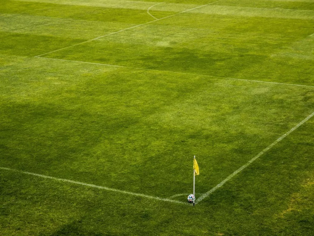 Матч чемпионата Мексики среди женщин был остановлен из-за звуков, похожих на выстрелы